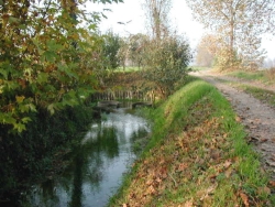 titolo immagine